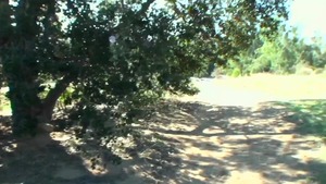 StreetBlowjobs: Brooke Whispers cum in her pussy outdoors