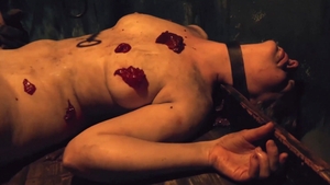 HORRORporn.com: BDSM in company with hairy blonde